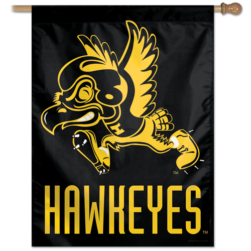 University of Iowa Banner