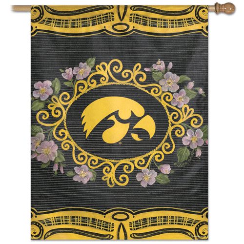 University of Iowa Banner
