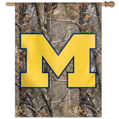University of Michigan Banner