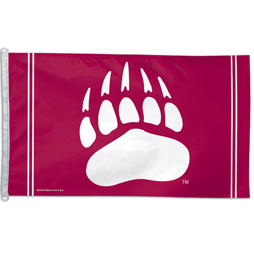University of Montana 3x5' Flag
