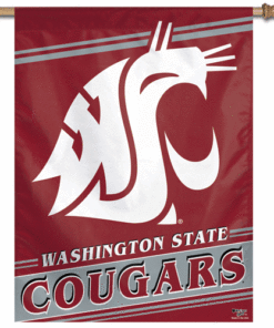 Washington State University Banner