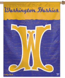 Washington U College Vault Banner