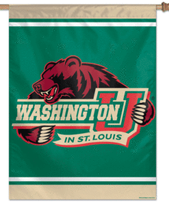 Washington U IN St. Louis Banner