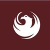 12x18-nyl-city-of-phoenix-flag-2