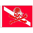 Piate Diver Down 12"X18" Nylon D/S