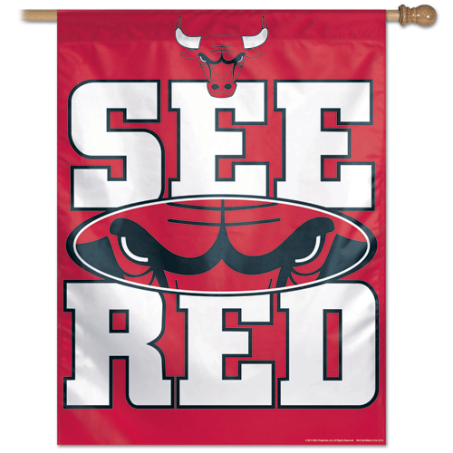 Chicago Bulls Banner