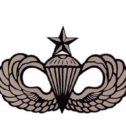 Para Senior Window Sticker