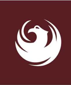 City of Phoenix 12'x18' Nylon Flag