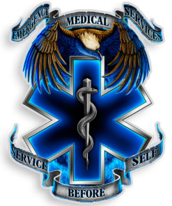 EMS 12" Decal
