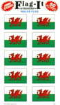 Wales  STK