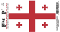 Georgia Rep. Vinyl Decal. 3 1/2" x 4 3/4"