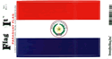 Paraguay Vinyl Decal. 3 1/2" x 4 3/4"