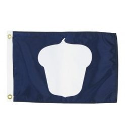 12" x 18" Treasurer Flag