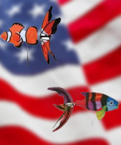 Aquatic Spinners