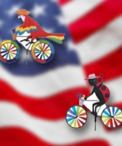 Bicycle Spinners