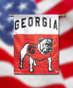 Georgia U College Vault