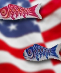 Koi Fish