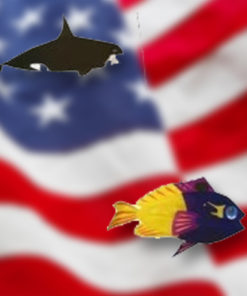 Swimming Fish and Fish Wands