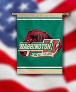 Washington U IN St. Louis