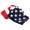 American Flag Printed Beach and Pool Towel Set 100% Cotton 30 inch x 60 inch - USA Flag