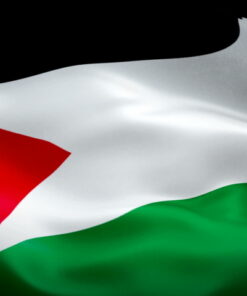 Palestinian 4'x6' Ply Flag