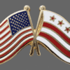 District of Columbia Friendship Lapel Pin, District of Columbia Flag Crossed Lapel Pin, District of Columbia Lapel Pin Friendship, District of Columbia Crossed Flag Pin