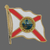 Florida State Lapel Pin, Florida Flag Lapel Pin, Florida Lapel Pin, Florida Flag Pin