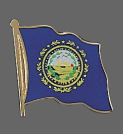 New Hampshire State Lapel Pin, New Hampshire Flag Lapel Pin, New Hampshire Lapel Pin, New Hampshire Flag Pin