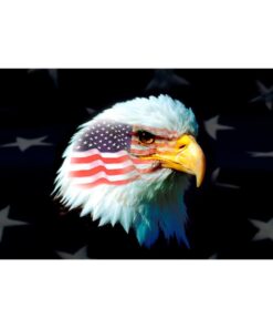 Our festive & colorful collection of American Patriotic Eagle 3'X5' screen-printed nylon flag speaks for itself
