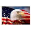 Our festive & colorful collection of Proud Eagle 3'X5' screen-printed nylon flag speaks for itself