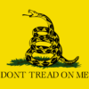 Don't Tread On Me Flag (Gadsden Flag) - 2' x 3' Polyester